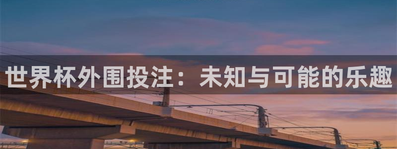 世界杯足球赛：世界杯外围投注：未知与可能的乐趣