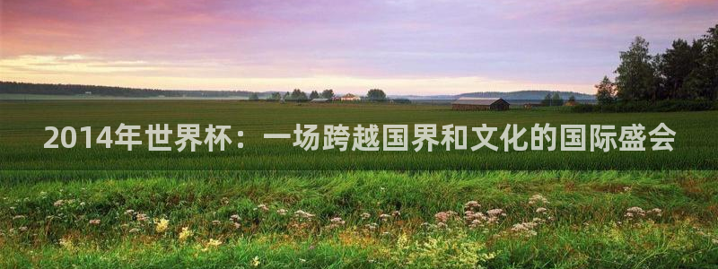 2006年世界杯：2014年世界杯：一场跨越国界和文化的国际盛会