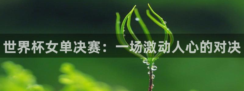 足球比分直播世界杯：世界杯女单决赛：一场激动人心的对决