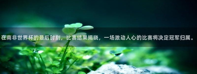 男足世界杯预选赛赛程：在南非世界杯的最后时刻，比赛结果揭晓，一场激动人心的比赛将决定冠军归属。
