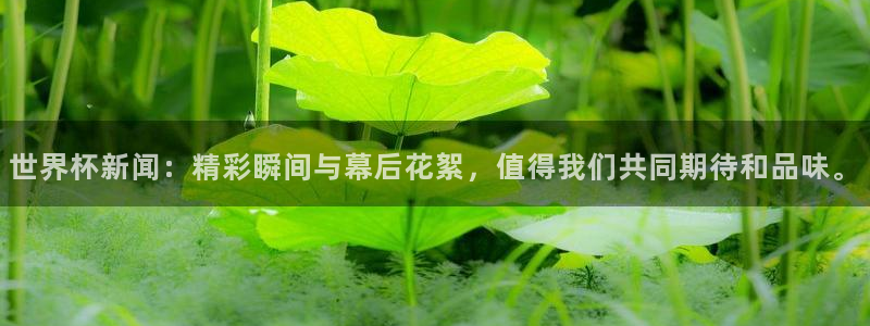 2026世界杯日期：世界杯新闻：精彩瞬间与幕后花絮，值得我们共同期待和品味。