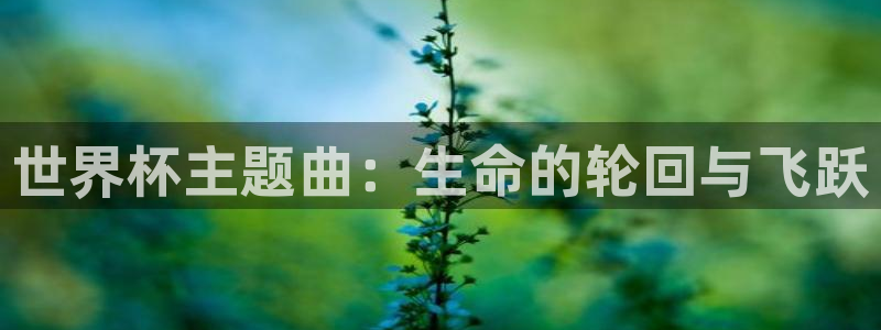 世界杯足球赛：世界杯主题曲：生命的轮回与飞跃