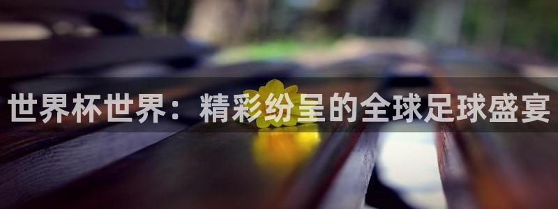 欧洲世界杯预选赛赛程：世界杯世界：精彩纷呈的全球足球盛宴