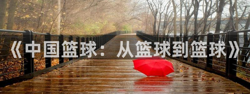 今天所有足球赛程表：《中国篮球：从篮球到篮球》