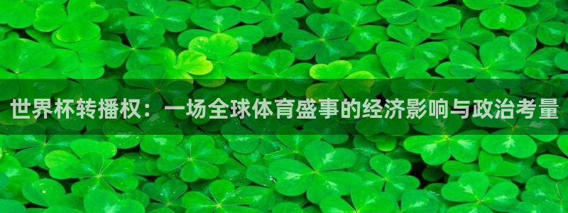 世界杯直播：世界杯转播权：一场全球体育盛事的经济影响与政治考量