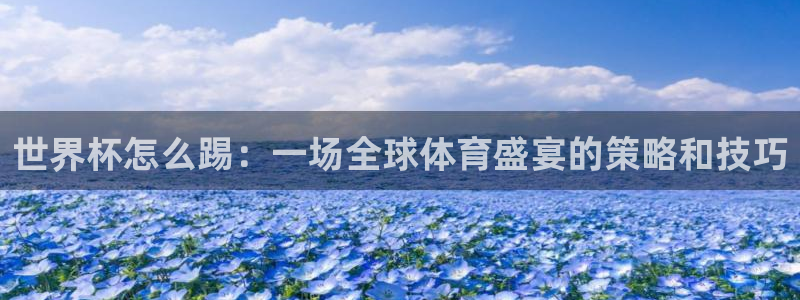 世界杯预选赛欧洲赛区积分榜：世界杯怎么踢：一场全球体育盛宴的策略和技巧