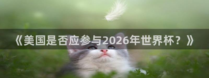 世界杯直播：《美国是否应参与2026年世界杯？》