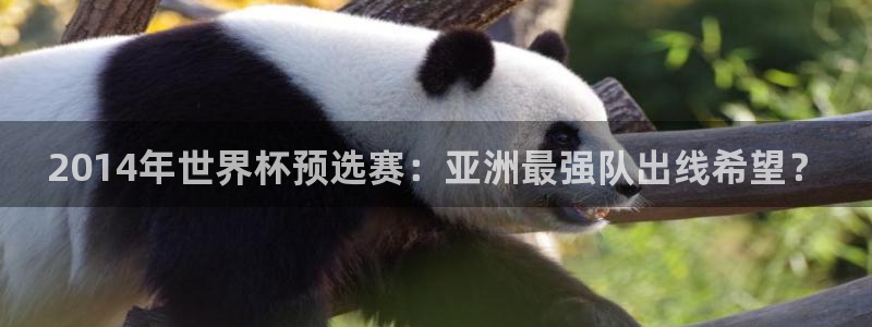 世界杯直播网：2014年世界杯预选赛：亚洲最强队出线希望？