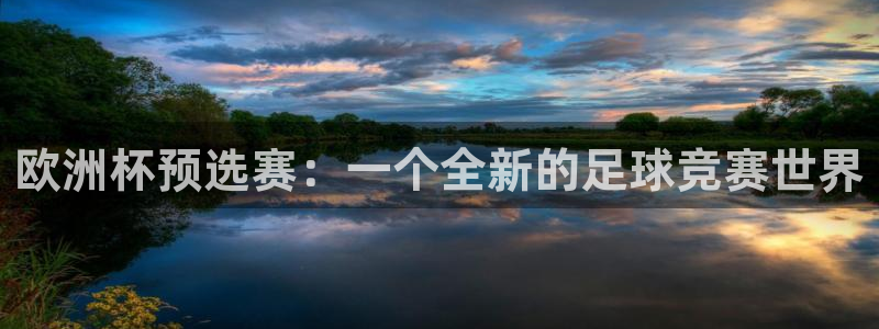 世界杯直播观看：欧洲杯预选赛：一个全新的足球竞赛世界